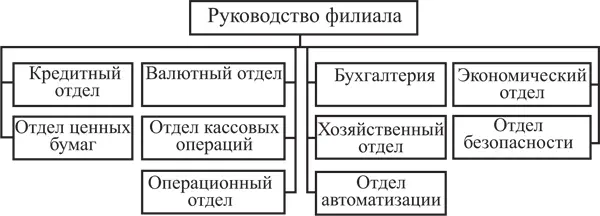Рис 12 Функциональная структура в филиале банка В рамках филиальной - фото 8