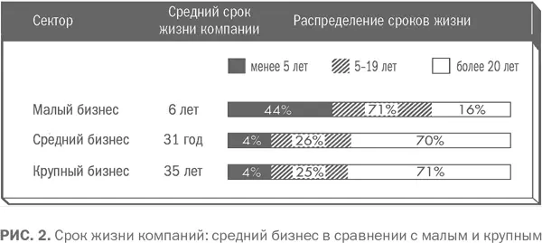 Так что я готов утверждать что на самом деле хребет американской экономики - фото 2