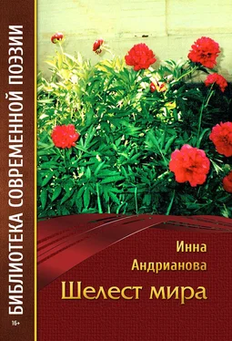 Инна Андрианова Шелест мира (сборник) обложка книги