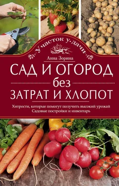 Анна Зорина Сад и огород без затрат и хлопот. Хитрости, которые помогут получить высокий урожай. Садовые постройки и инвентарь обложка книги