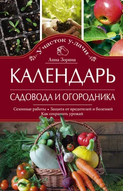 Анна Зорина Календарь садовода и огородника. Сезонные работы. Защита от вредителей и болезней. Как сохранить урожай обложка книги