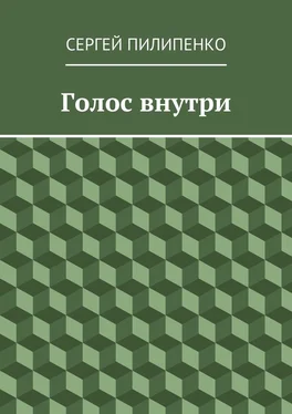 Сергей Пилипенко Голос внутри обложка книги