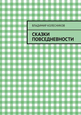 Владимир Колесников Сказки повседневности обложка книги