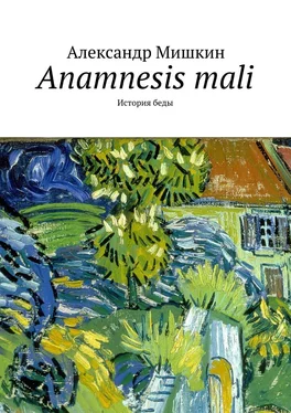 Александр Мишкин Anamnesis mali. История беды обложка книги