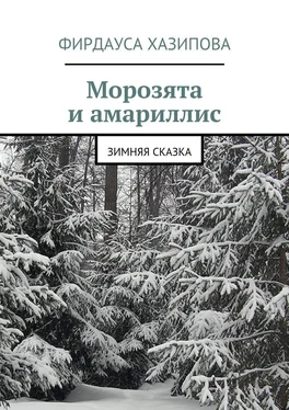 Фирдауса Хазипова Морозята и амариллис. зимняя сказка обложка книги