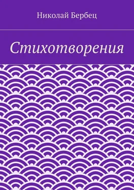 Николай Бербец Стихотворения обложка книги