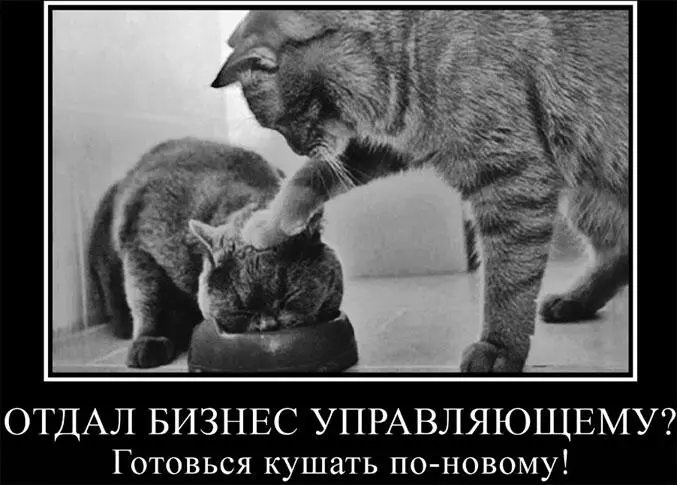 Думы успешного бизнесмена в моменты духовного озарения обычно направлены на - фото 6