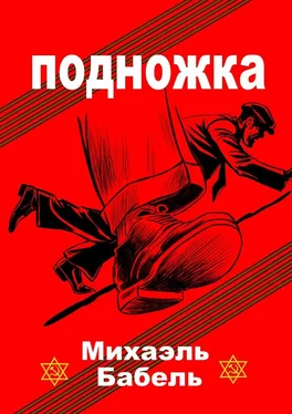 Михаэль Бабель Подножка обложка книги