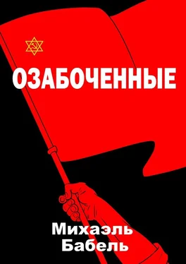 Михаэль Бабель Озабоченные обложка книги