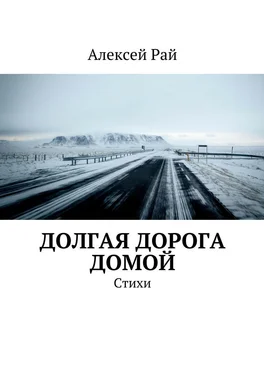 Алексей Рай Долгая дорога домой. Стихи обложка книги