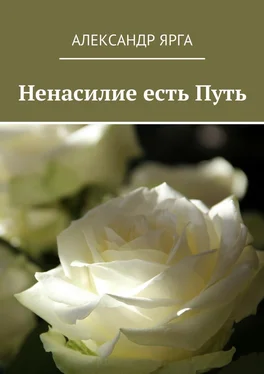 Александр Ярга Ненасилие есть Путь обложка книги