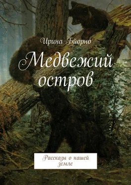 Ирина Бйорно Медвежий остров. Рассказы о нашей земле обложка книги