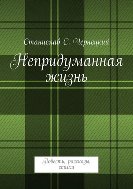 Станислав Чернецкий Непридуманная жизнь. Повесть, рассказы, стихи обложка книги