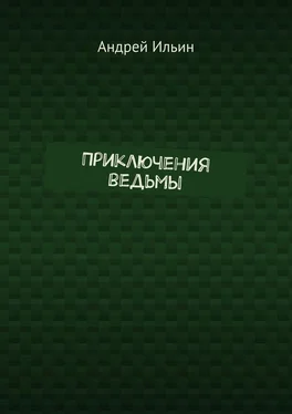 Андрей Ильин Приключения ведьмы обложка книги