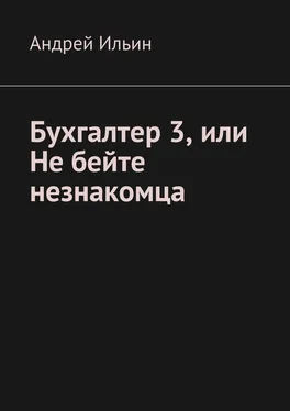Андрей Ильин Бухгалтер 3, или Не бейте незнакомца