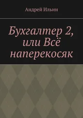 Андрей Ильин - Бухгалтер 2, или Всё наперекосяк