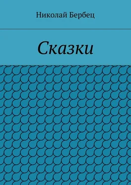 Николай Бербец Сказки обложка книги