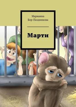 Марианна Бор-Паздникова Марти. сборник рассказов обложка книги