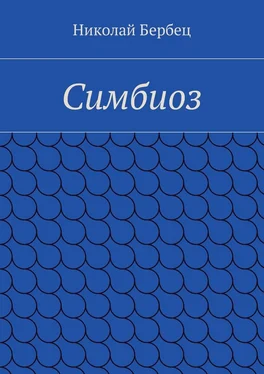 Николай Бербец Симбиоз обложка книги