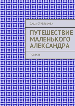 Даша Стрельцова Путешествие маленького Александра. повесть обложка книги