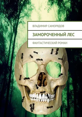 Владимир Саморядов Замороченный лес. фантастический роман обложка книги