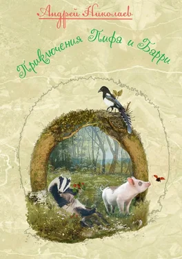 Андрей Николаев Приключения Пифа и Барри обложка книги