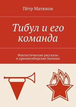 Пётр Матюков Тибул и его команда. Фантастические рассказы и древнесибирские былины обложка книги