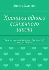 Виктор Дудихин - Хроника одного солнечного цикла. Записки провинциала, или Сказание обо мне, любимом