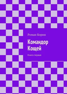 Роман Борин Командор Кощей. Книга первая обложка книги