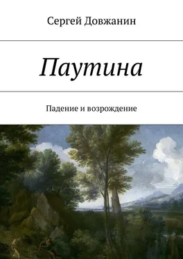 Сергей Довжанин Паутина. Падение и возрождение обложка книги