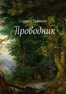 Елена Мариныч Проводник обложка книги