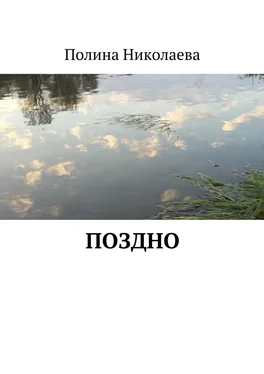 Полина Николаева Поздно обложка книги