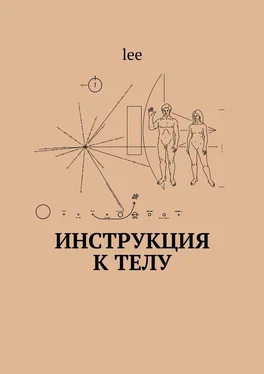 lee Инструкция к телу обложка книги