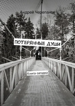 Андрей Черепанов Потерянные души. Книга-загадка обложка книги