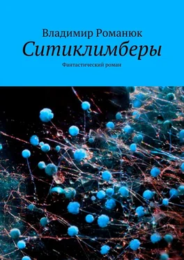 Владимир Романюк Ситиклимберы. Фантастический роман обложка книги