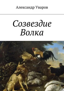 Александр Уваров Созвездие Волка обложка книги