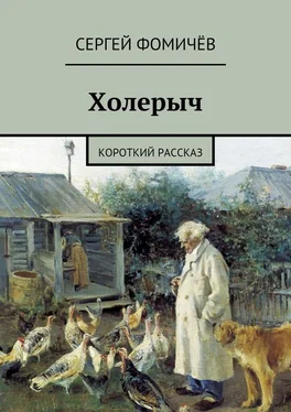 Сергей Фомичёв Холерыч. короткий рассказ обложка книги