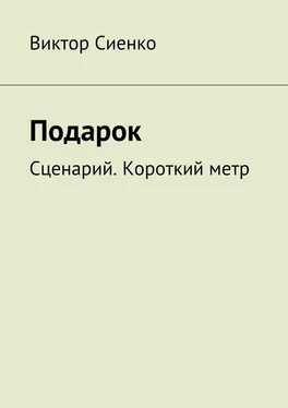 Виктор Сиенко Подарок. Сценарий. Короткий метр обложка книги