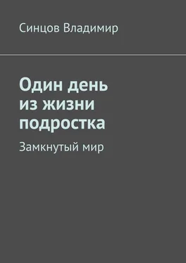 Владимир Синцов Один день из жизни подростка. Замкнутый мир обложка книги