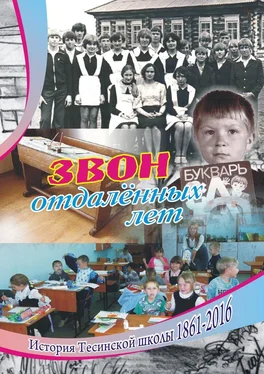 Алексей Болотников Звон отдаленных лет. История Тесинской школы 1861—2016 обложка книги