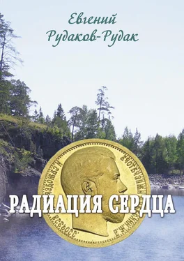 Евгений Рудаков-Рудак Радиация сердца обложка книги