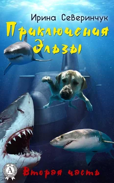 Ирина Северинчук Приключения Эльзы. Часть 2 обложка книги