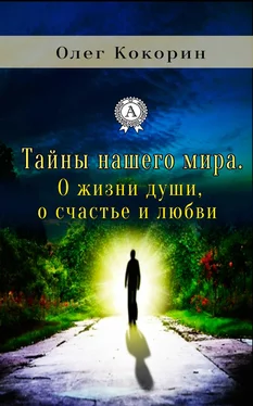 Олег Кокорин Тайны нашего мира. О жизни души, о счастье и любви обложка книги