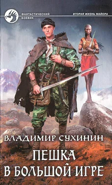 Владимир Сухинин Пешка в большой игре обложка книги