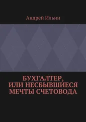 Андрей Ильин - Бухгалтер, или Несбывшиеся мечты счетовода