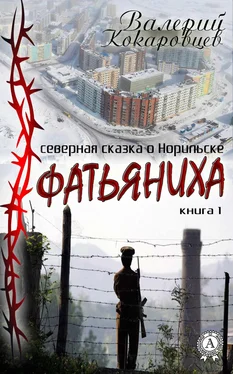 Валерий Кокаровцев Фатьяниха обложка книги