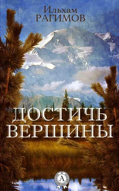 Ильхам Рагимов Достичь вершины обложка книги