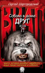 Сергей Шаргородский - СОБАКА В ДОМЕ - ДРУГ ИЛИ ВРАГ?!