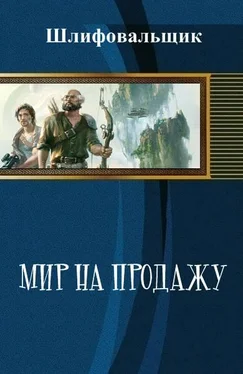 В. Шлифовальщик Мир на продажу обложка книги