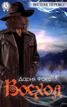 Дария Фокс Восход обложка книги